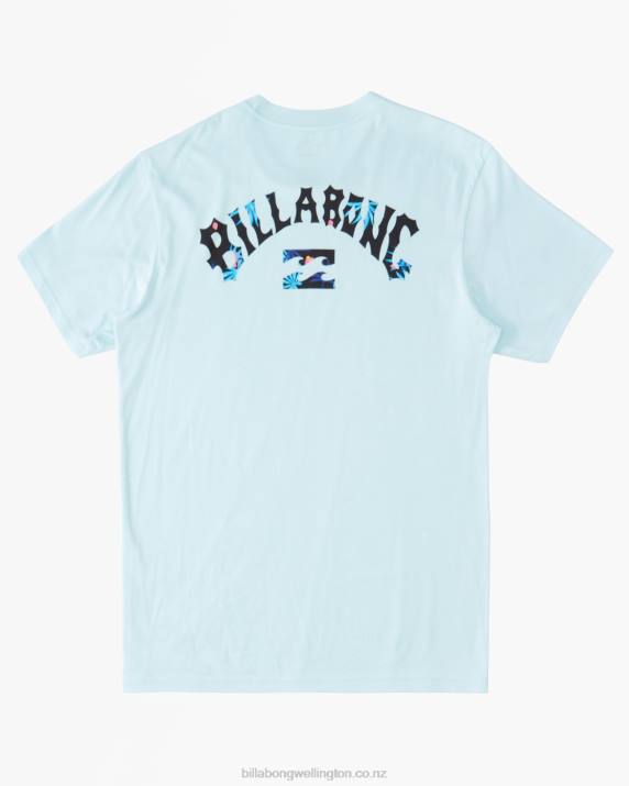 Boys Coastal Billabong (2-7) Arch Fill T-Shirt 80P81019