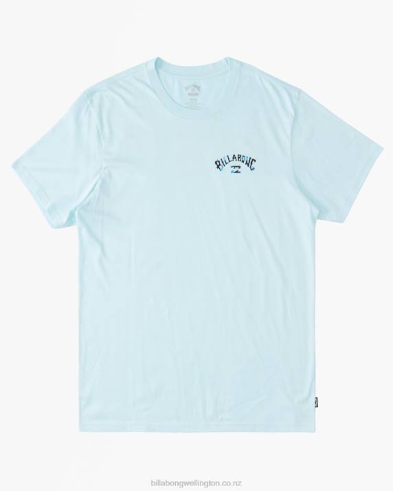 Boys Coastal Billabong (2-7) Arch Fill T-Shirt 80P81019
