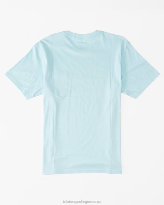 Boys Coastal Billabong Team Pocket T-Shirt 80P81060