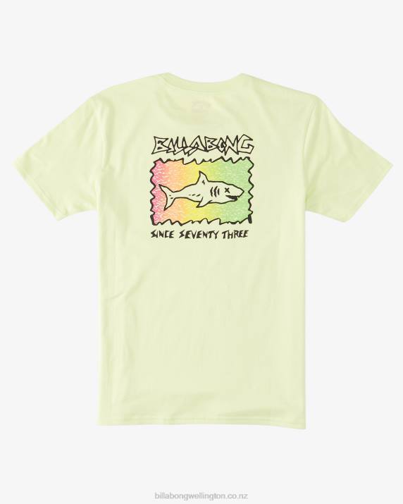 Boys Light Green Billabong Sharky T-Shirt 80P81048