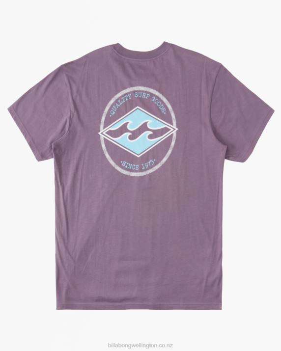Boys Purple Haze Billabong Rotor Diamond T-Shirt 80P81127