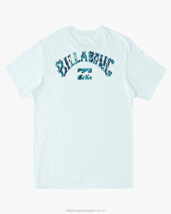 Boys Seaglass Billabong Arch Fill T-Shirt 80P81045