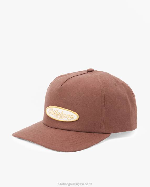 Men Chocolate Billabong Daily Low Profile Unstructured Cap 80P8693