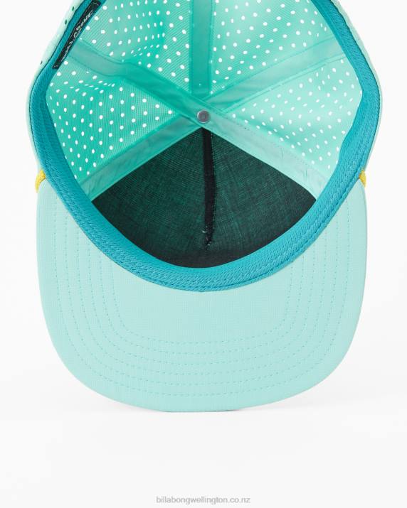 Men Cool Mint Billabong Range Trucker Hat 80P8688
