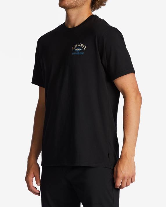Men Black Billabong Hawaii Arch T-Shirt 80P8337