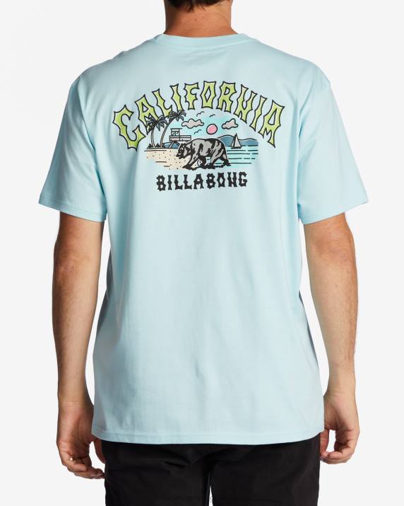Men Coastal Billabong CA Arch T-Shirt 80P8319