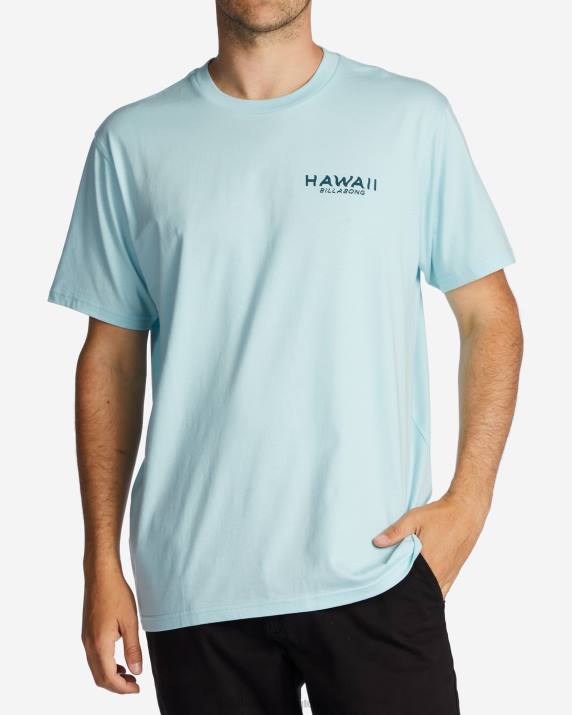 Men Coastal Billabong Hawaii Lookout T-Shirt 80P8312