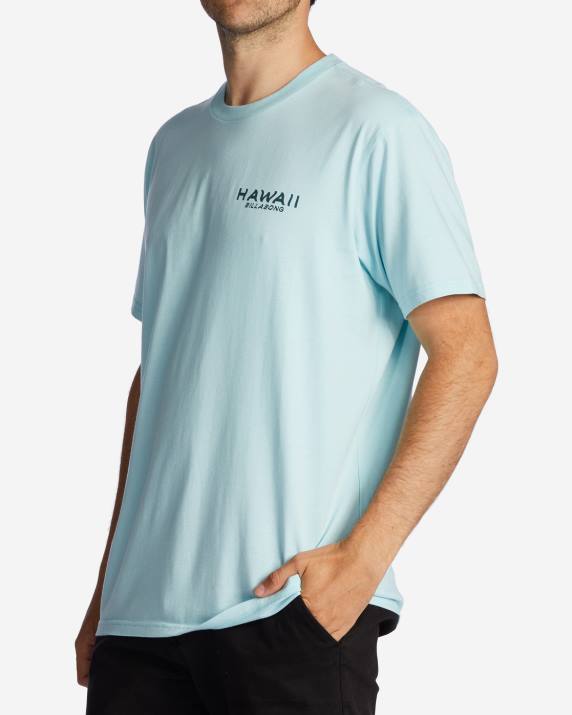 Men Coastal Billabong Hawaii Lookout T-Shirt 80P8312
