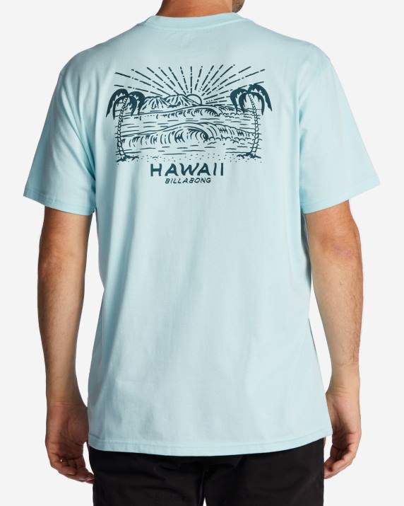 Men Coastal Billabong Hawaii Lookout T-Shirt 80P8312