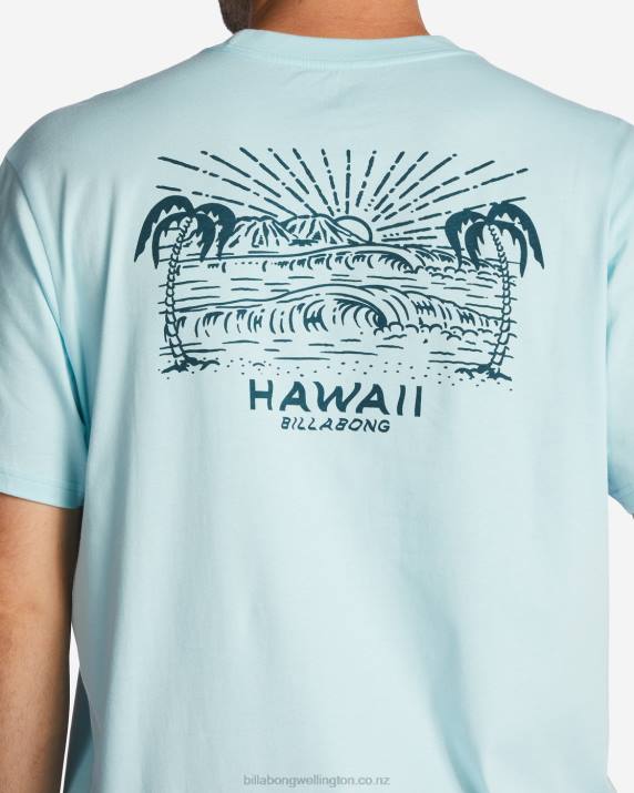 Men Coastal Billabong Hawaii Lookout T-Shirt 80P8312