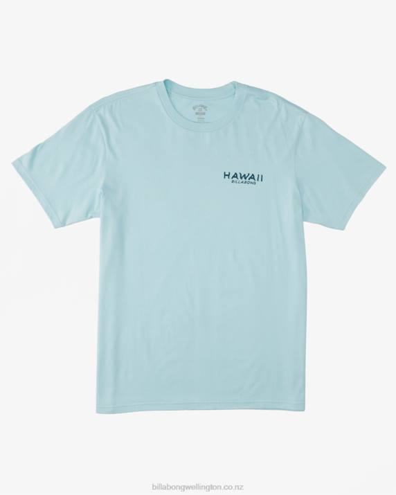 Men Coastal Billabong Hawaii Lookout T-Shirt 80P8312