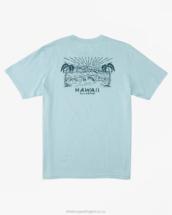 Men Coastal Billabong Hawaii Lookout T-Shirt 80P8312