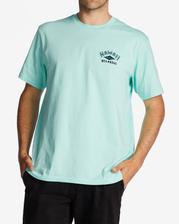 Men Cool Mint Billabong Hawaii Arch T-Shirt 80P8327