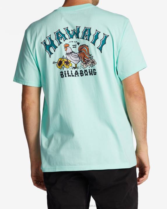 Men Cool Mint Billabong Hawaii Arch T-Shirt 80P8327