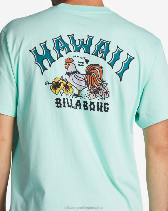 Men Cool Mint Billabong Hawaii Arch T-Shirt 80P8327