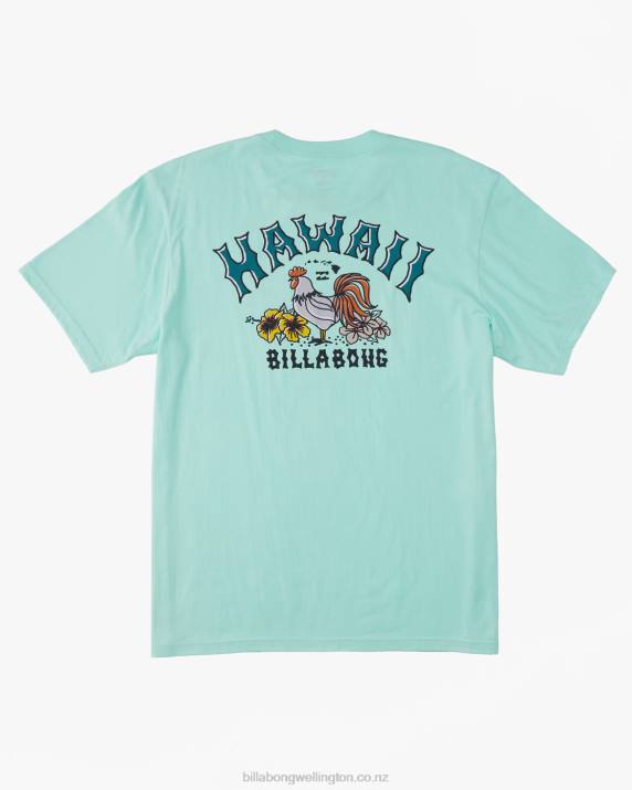 Men Cool Mint Billabong Hawaii Arch T-Shirt 80P8327