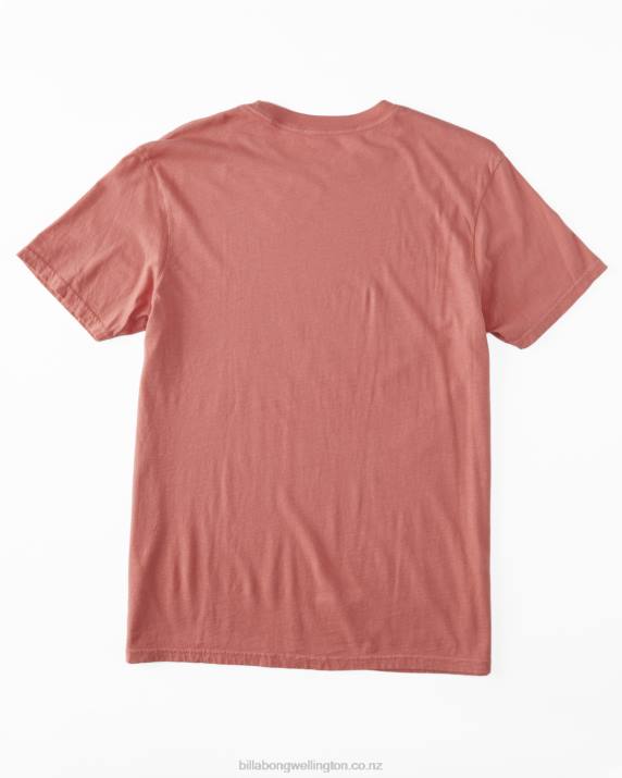 Men Faded Rose Billabong Praise Short Sleeve T-Shirt 80P8539