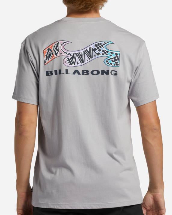 Men Grey Violet Billabong Segment T-Shirt 80P8353