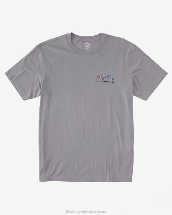 Men Grey Violet Billabong Segment T-Shirt 80P8353