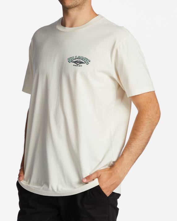 Men Off White Billabong Archwave T-Shirt 80P8520