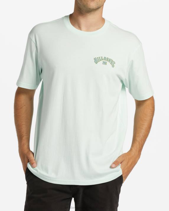 Men Seaglass Billabong Arch Fill T-Shirt 80P8392