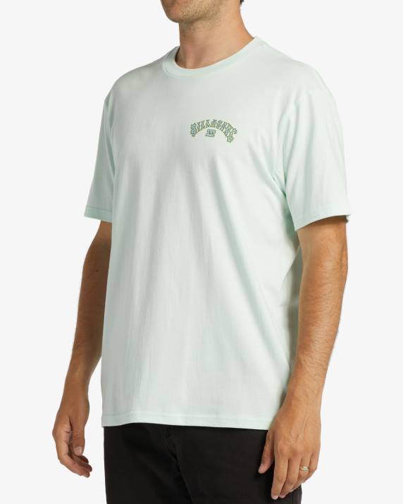 Men Seaglass Billabong Arch Fill T-Shirt 80P8392