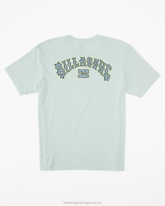 Men Seaglass Billabong Arch Fill T-Shirt 80P8392