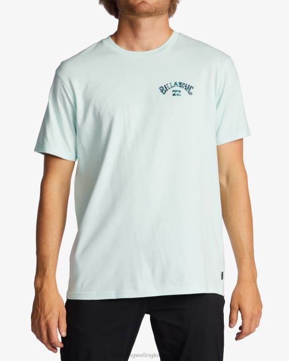 Men Seaglass Billabong Arch Fill T-Shirt 80P8523