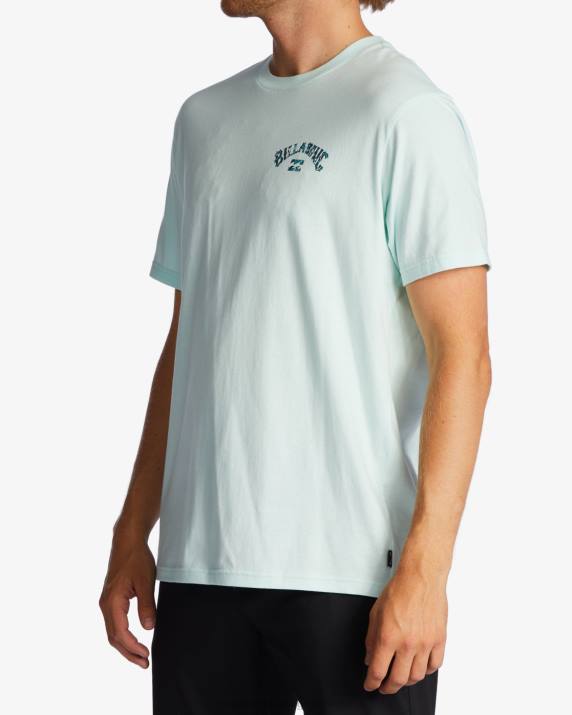 Men Seaglass Billabong Arch Fill T-Shirt 80P8523