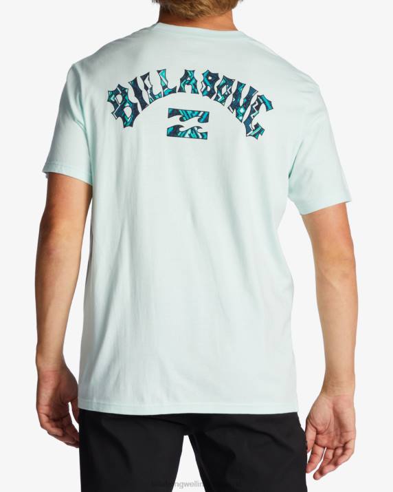 Men Seaglass Billabong Arch Fill T-Shirt 80P8523
