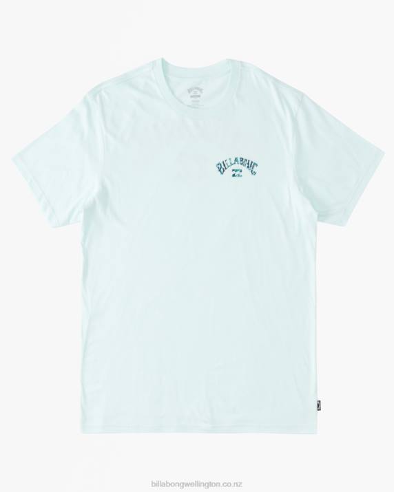 Men Seaglass Billabong Arch Fill T-Shirt 80P8523