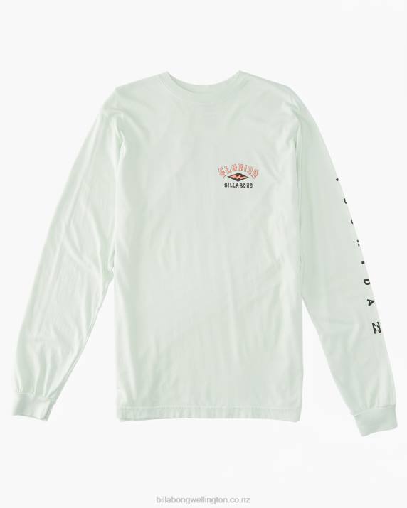 Men Seaglass Billabong Flamingo Arch T-Shirt 80P8442