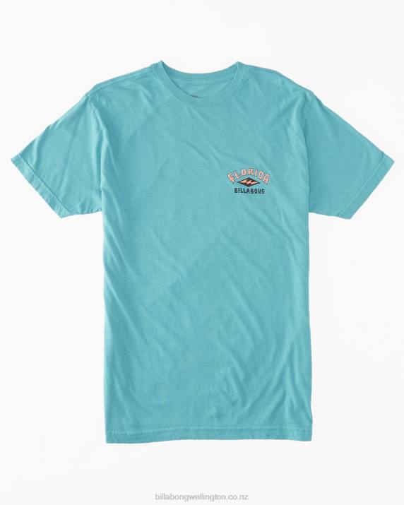 Men Seagreen Billabong Flamingo Arch T-Shirt 80P8336