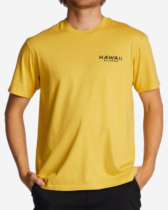 Men Sunny Billabong Hawaii Lookout T-Shirt 80P8384