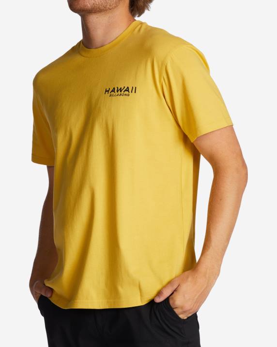 Men Sunny Billabong Hawaii Lookout T-Shirt 80P8384