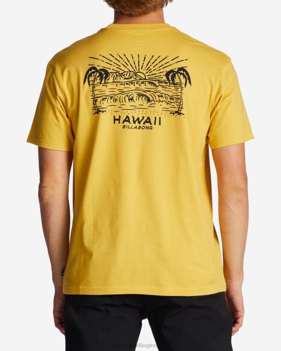 Men Sunny Billabong Hawaii Lookout T-Shirt 80P8384