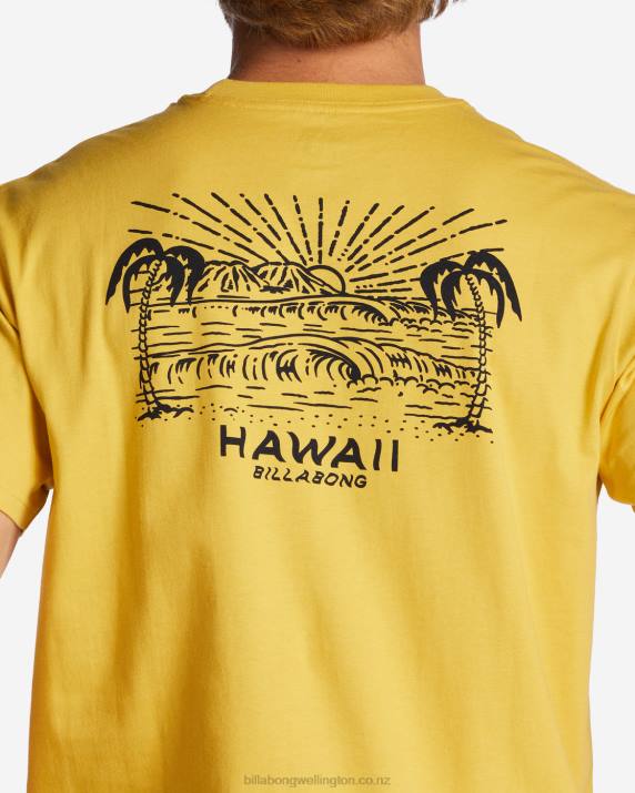 Men Sunny Billabong Hawaii Lookout T-Shirt 80P8384