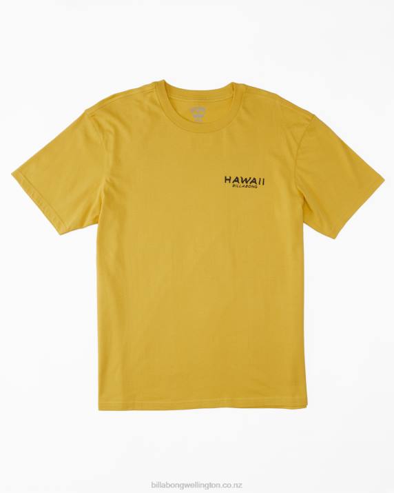 Men Sunny Billabong Hawaii Lookout T-Shirt 80P8384
