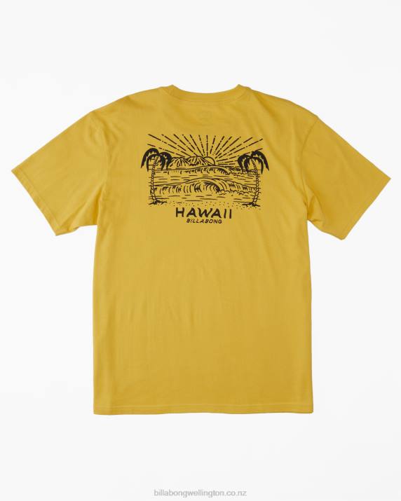 Men Sunny Billabong Hawaii Lookout T-Shirt 80P8384