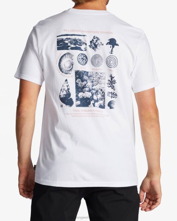 Men White Billabong Tidal Research Organic T-Shirt 80P8473