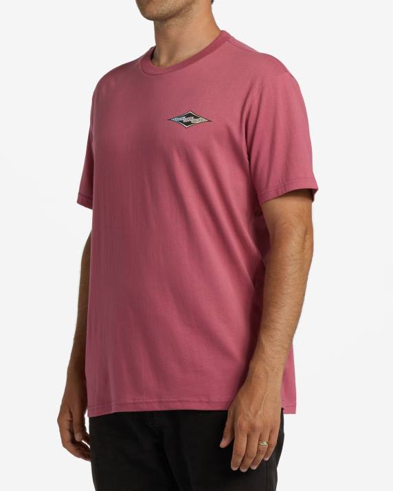 Men Wild Berry Billabong Crayon Wave T-Shirt 80P8334