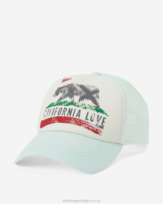 Women Soft Mint Billabong Pitstop Trucker Hat 80P82487